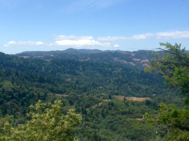 Mountain ridges and wooded valleys seen from near the homestead